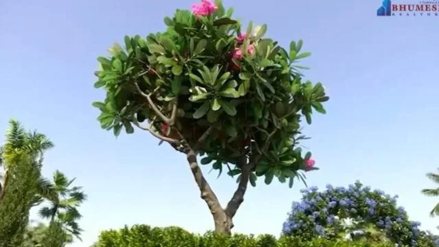 Snapshot_7-1000×600