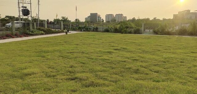 skyline park 1